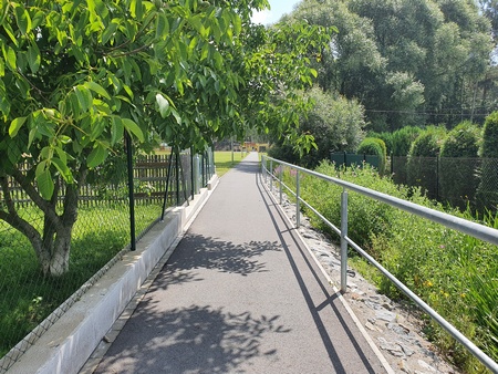 kolny 5