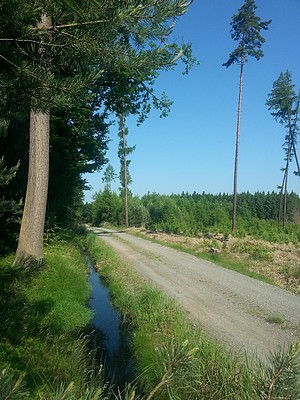 kosina-ceta-kbykov-300-400