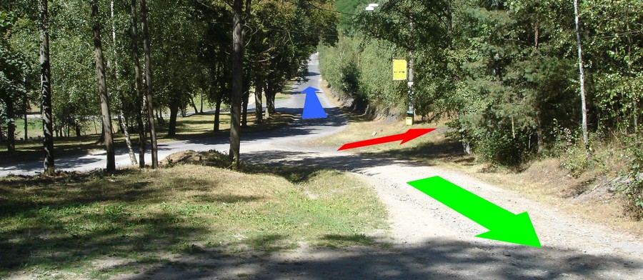 cesta-jezirko-900
