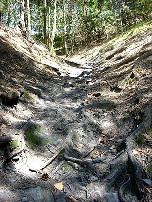jezirko-cesta-300-400